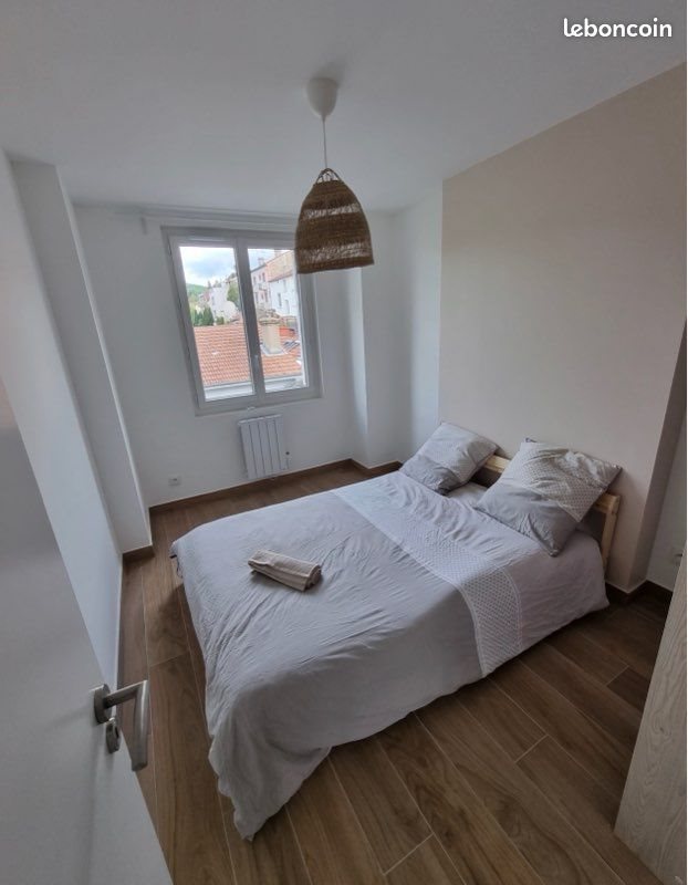 Appartement à louer, 46m², Saint-Etienne