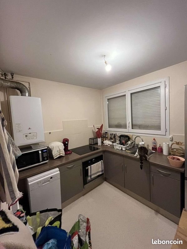 Appartement à louer, 50m², Tours