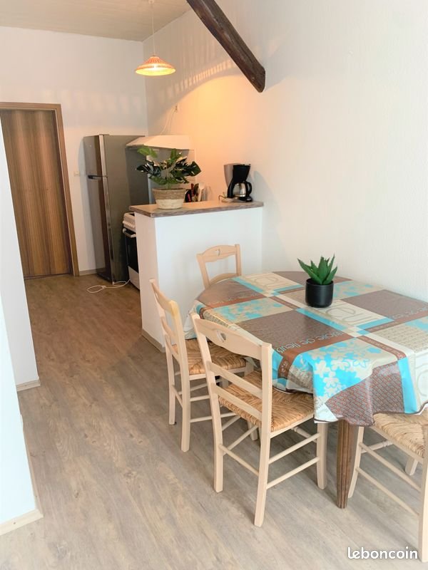 Appartement à louer, 50m², Colmar