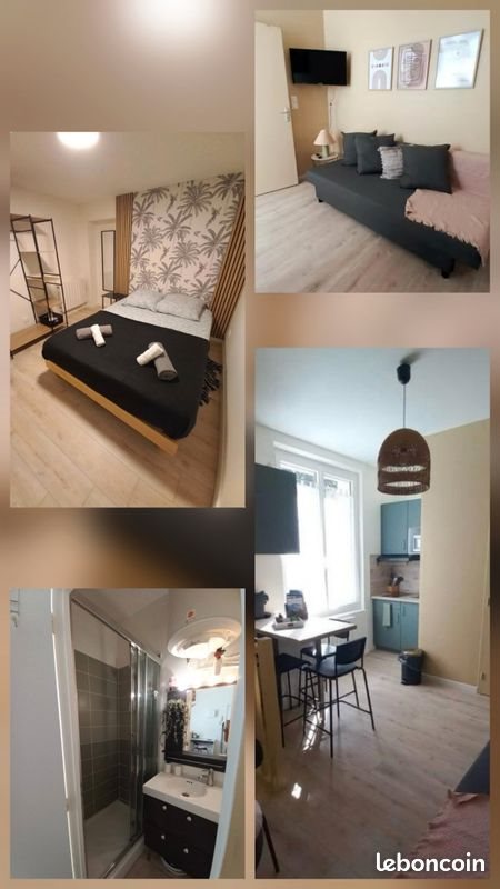 Appartement à louer, 21m², La Riche
