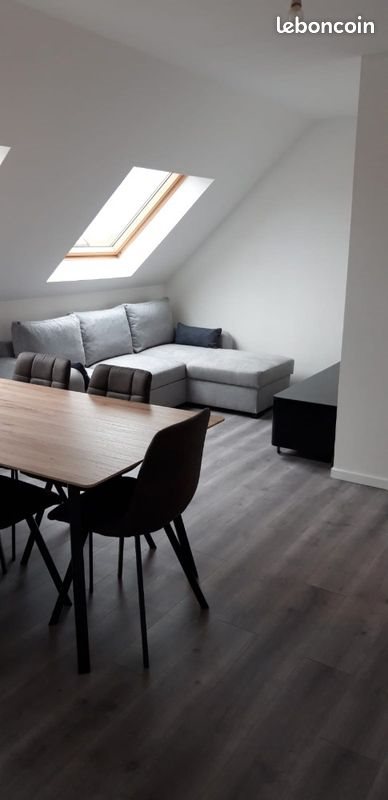 Appartement à louer, 50m², Colmar