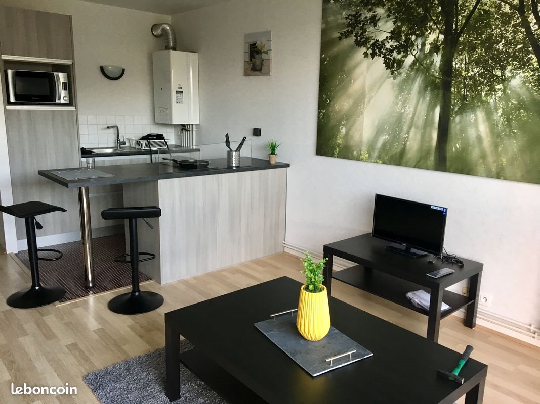 Appartement à vendre, 30m², Mont-Saint-Aignan