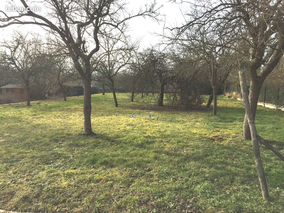 Maison à vendre, 130m², Obernai