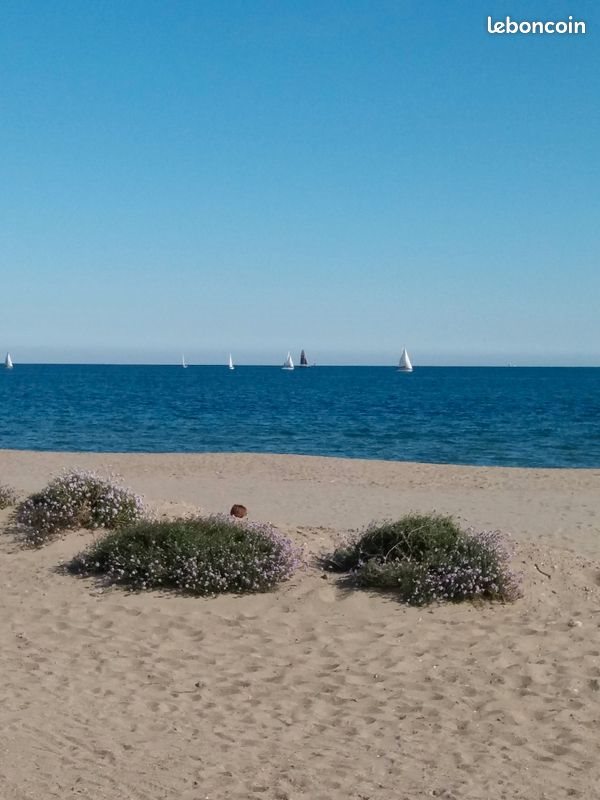 Maison à vendre, 30m², Leucate