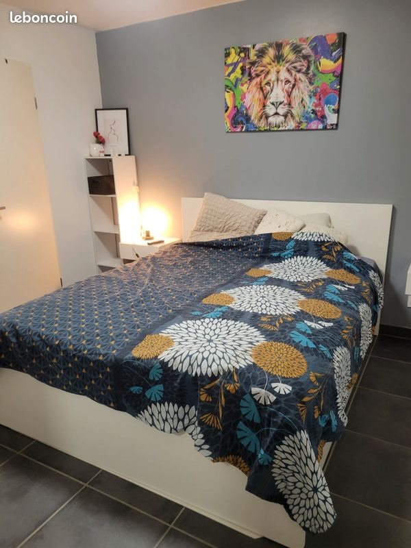 Appartement à louer, 43m², Pignan