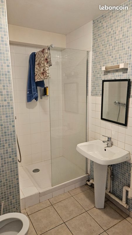 Appartement à louer, 33m², Roanne