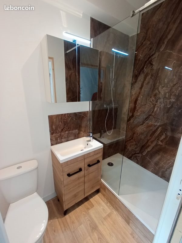 Appartement à louer, 50m², Vinneuf
