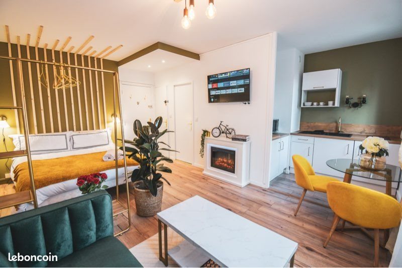 Appartement à vendre, 24m², Villeurbanne