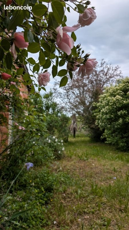 Maison à vendre, 156m², Castelsagrat