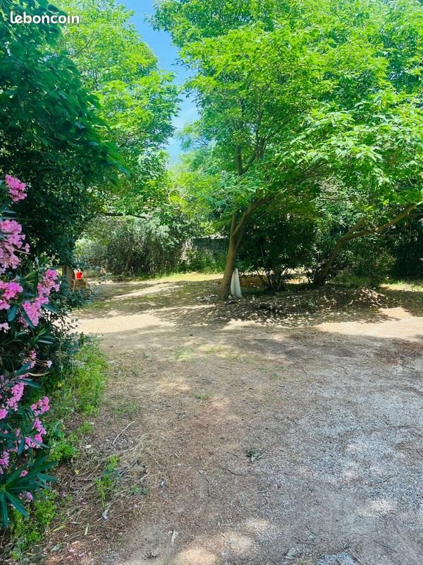 Appartement à louer, 23m², Argelès-sur-Mer
