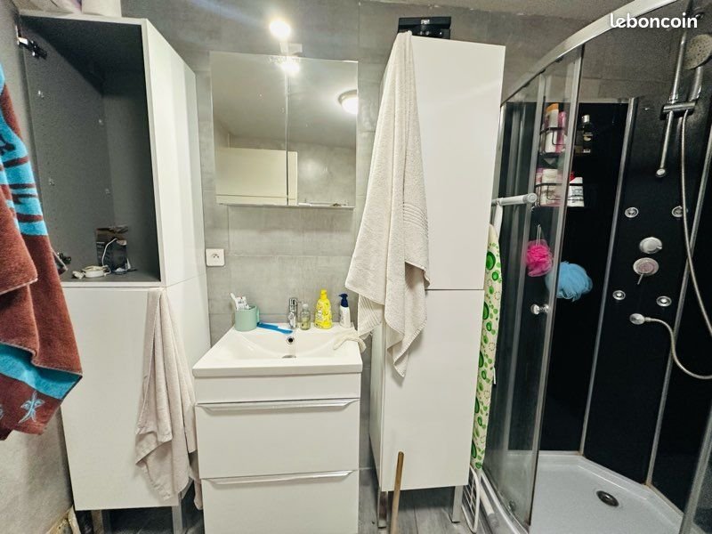 Appartement à louer, 45m², Colmar