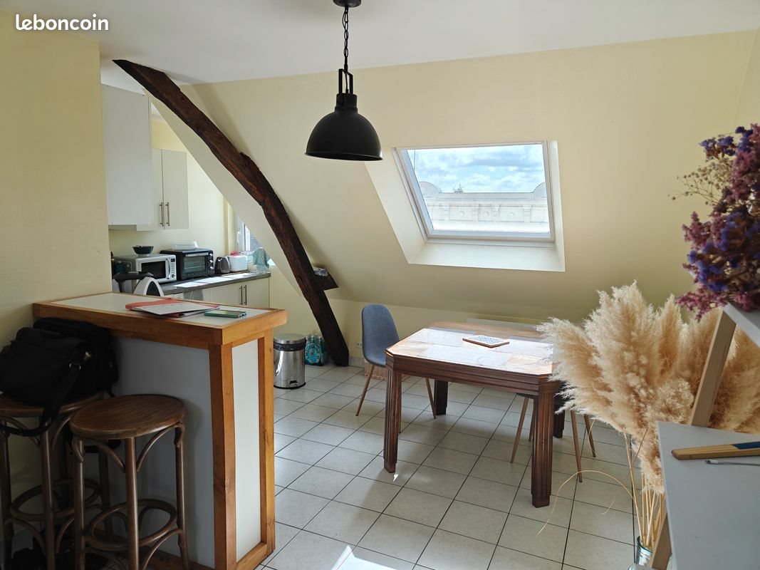 Appartement à louer, 39m², Angers