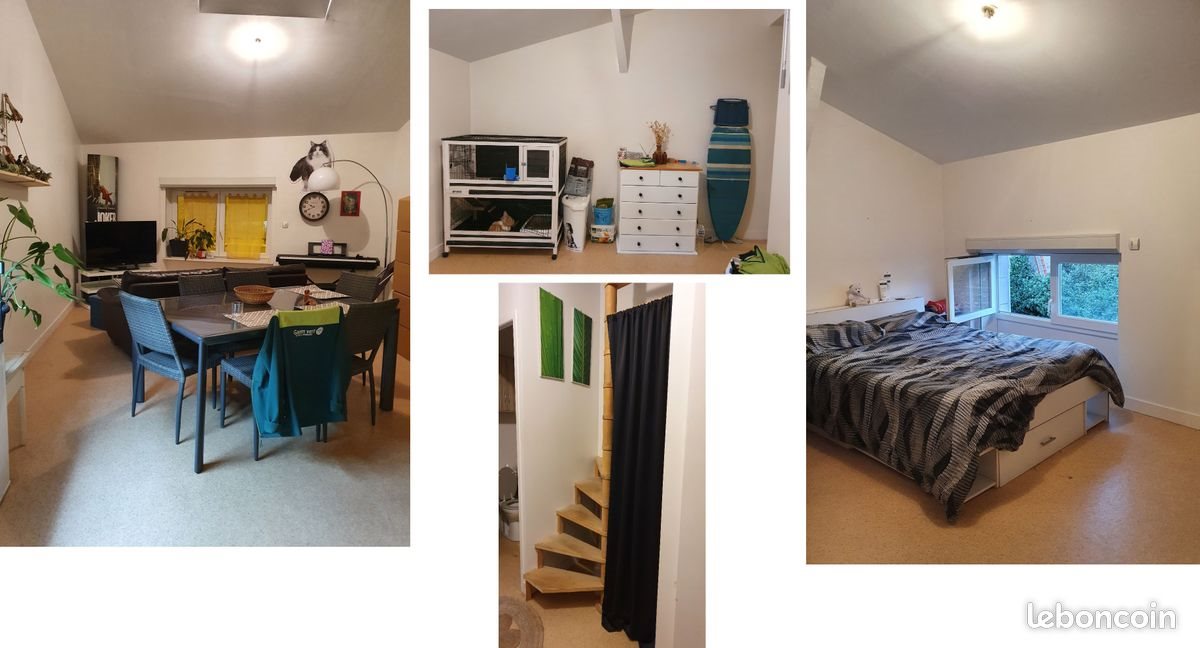 Appartement à louer, 59m², Chauvigny