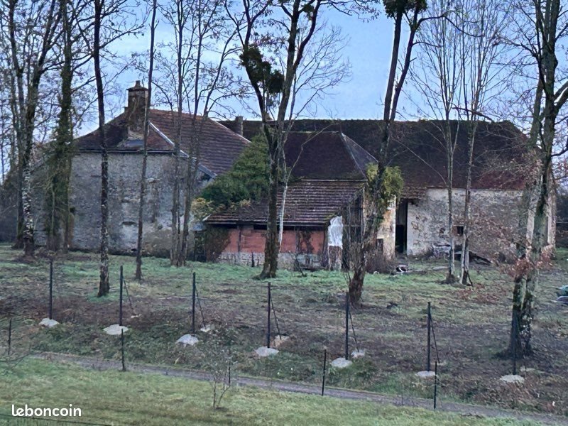 Maison à vendre, 300m², Cussangy