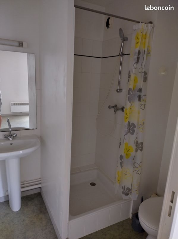 Appartement à louer, 27m², Angers