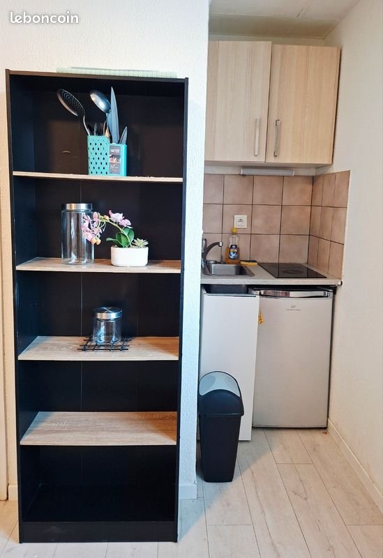 Appartement à louer, 15m², Colmar
