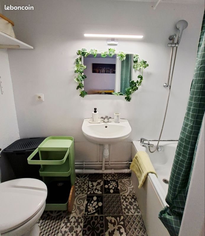 Appartement à louer, 15m², Colmar