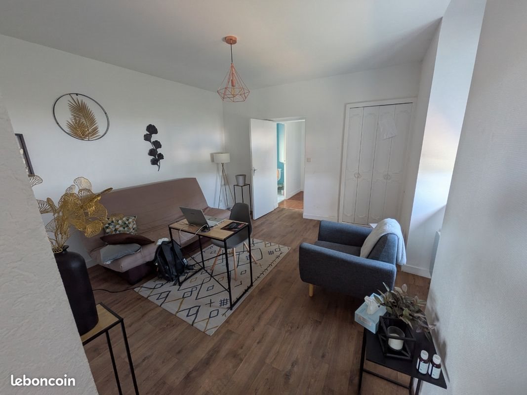 Appartement à louer, 50m², Angers