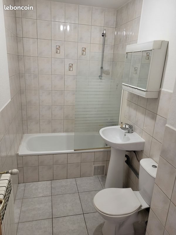 Appartement à louer, 27m², Sainte-Savine