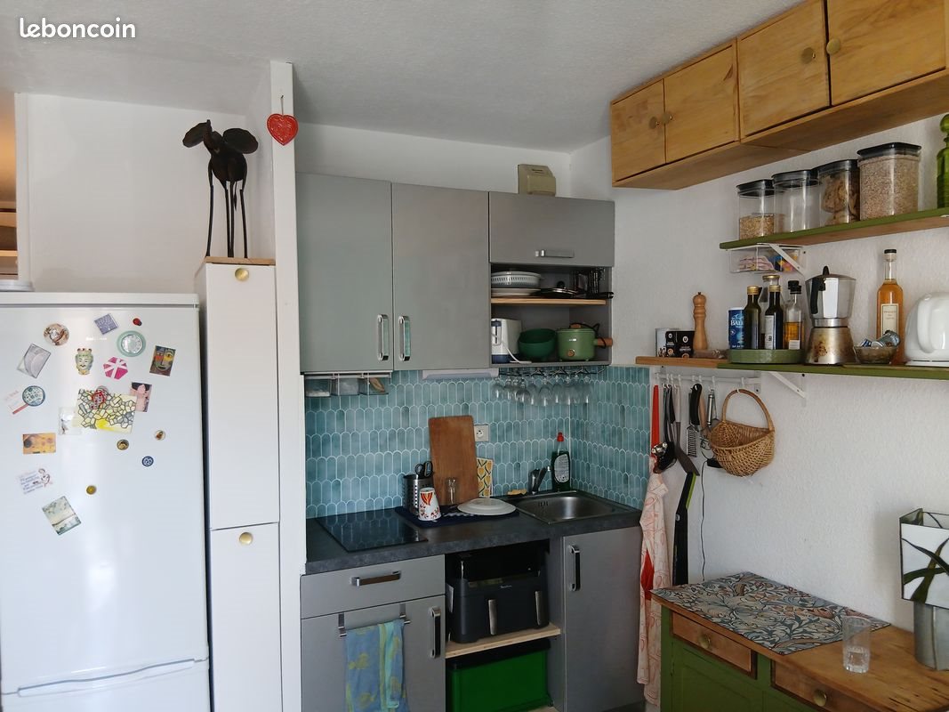 Appartement à vendre, 19m², Grenoble