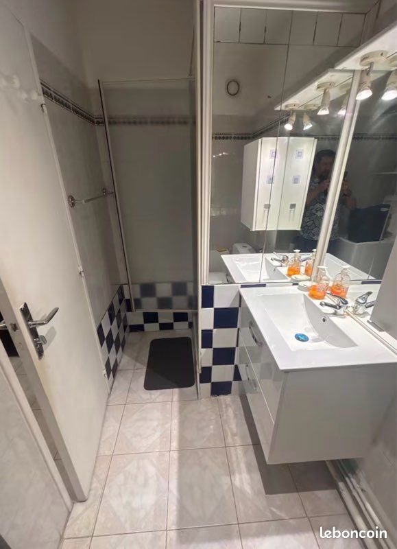 Appartement à louer, 48m², Lyon 7ème