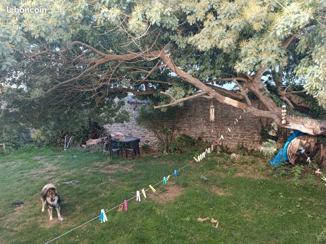 Maison à louer, 80m², Roscoff