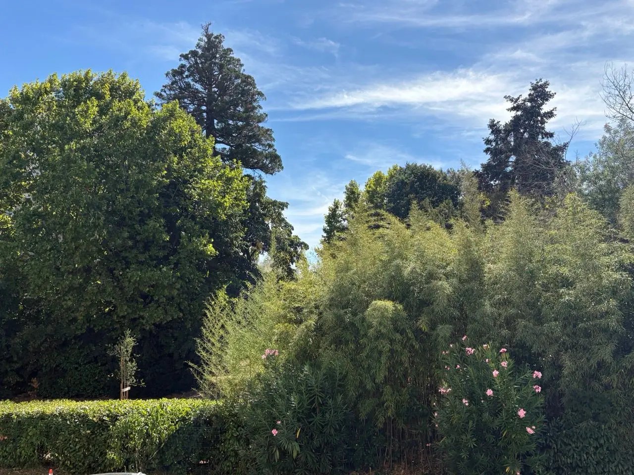 Appartement à louer, 31m², Gradignan