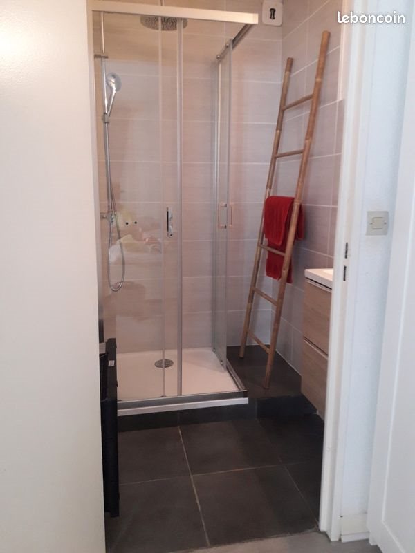 Appartement à louer, 25m², Saint-Etienne