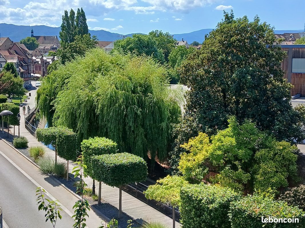 Appartement à vendre, 43m², Colmar