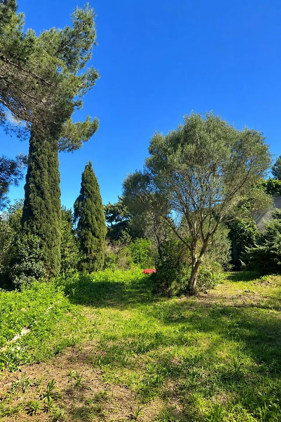 Maison à vendre, 260m², Hyères