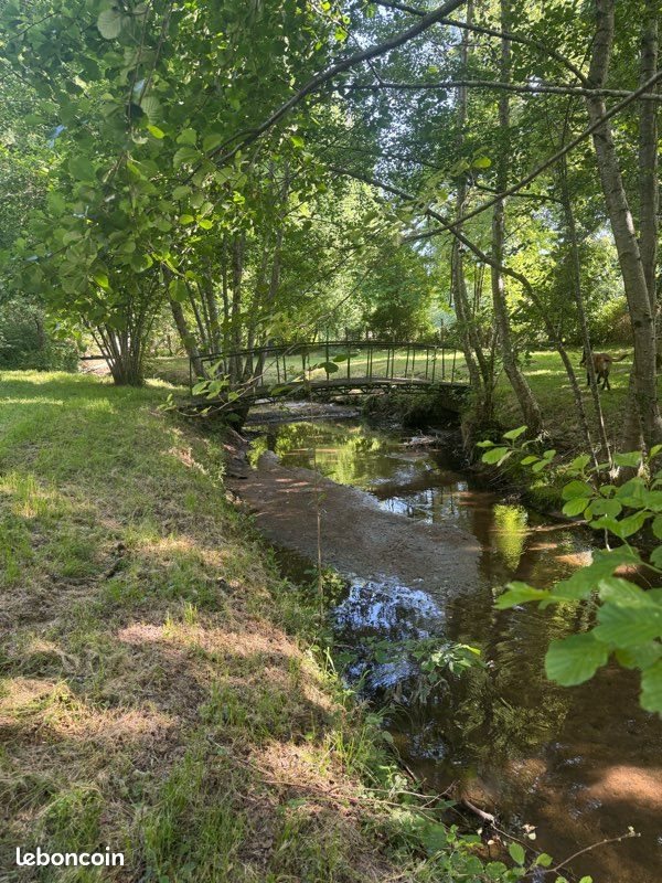 Maison à vendre, 345m², Néronde-sur-Dore