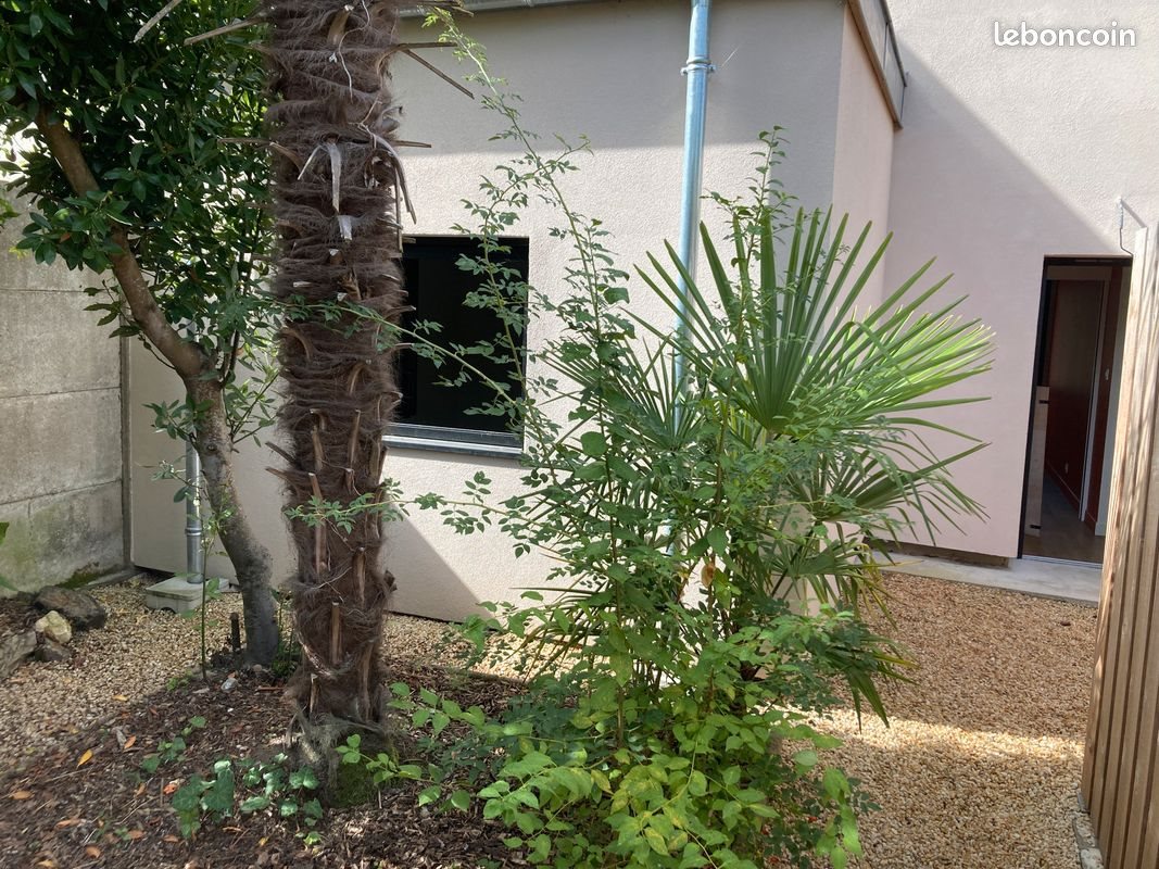 Appartement à louer, 33m², Ingrandes