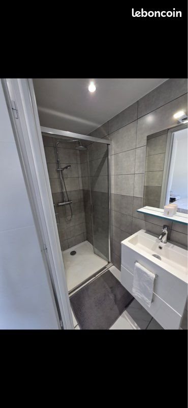 Appartement à louer, 20m², Saint-Étienne