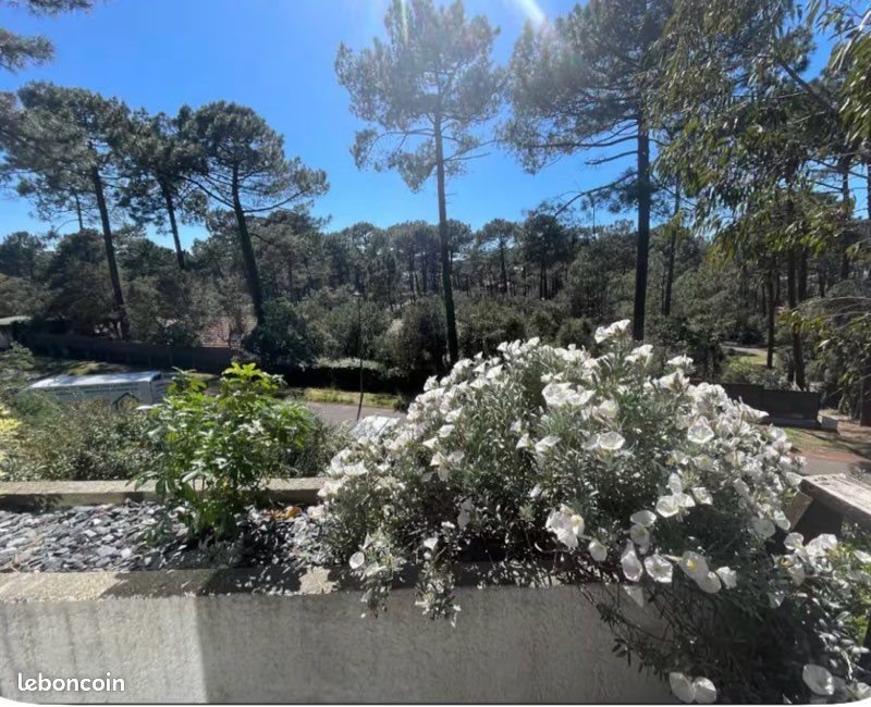 Appartement à louer, 25m², Seignosse