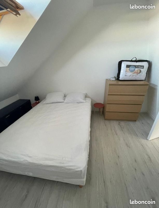 Appartement à louer, 40m², Angers