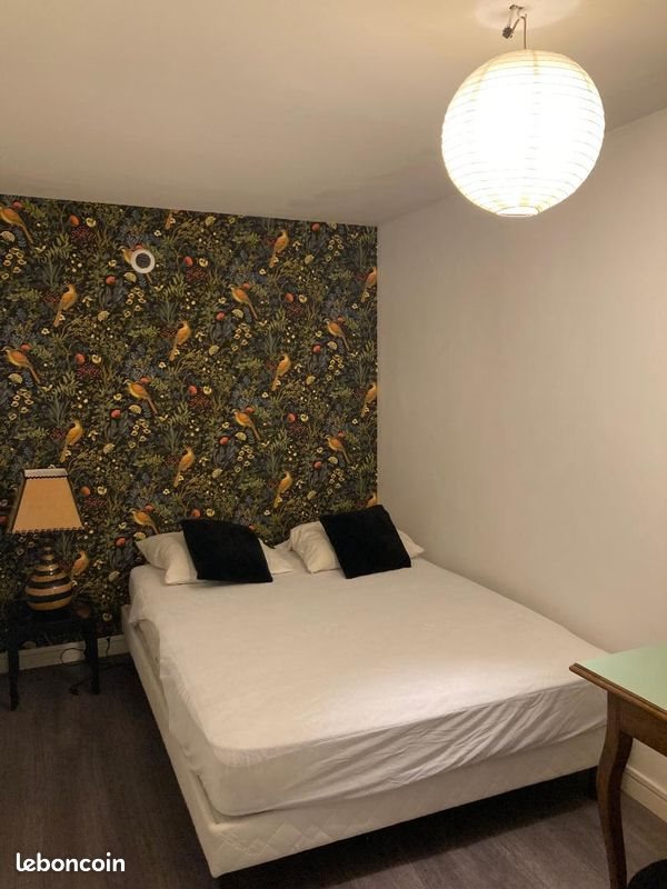 Appartement à louer, 43m², Nancy