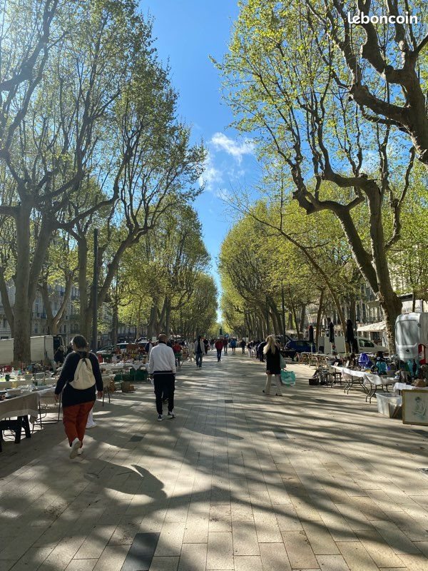 Appartement à louer, 18m², Béziers