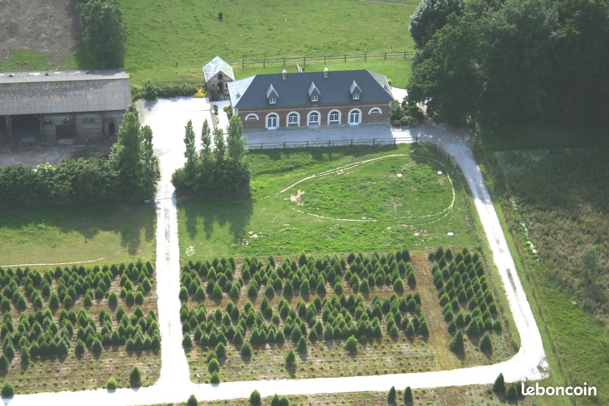 Maison à louer, 206m², Sassetot-le-Mauconduit