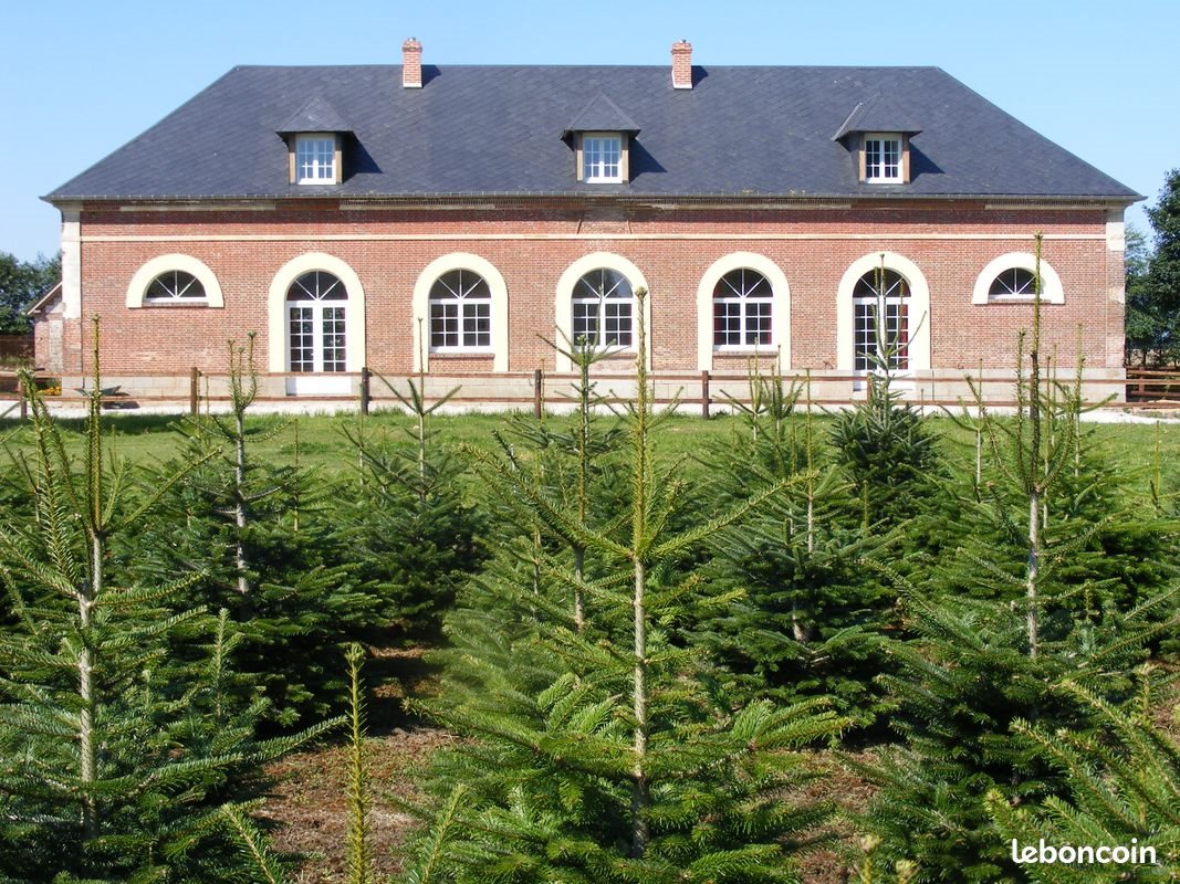 Maison à louer, 206m², Sassetot-le-Mauconduit