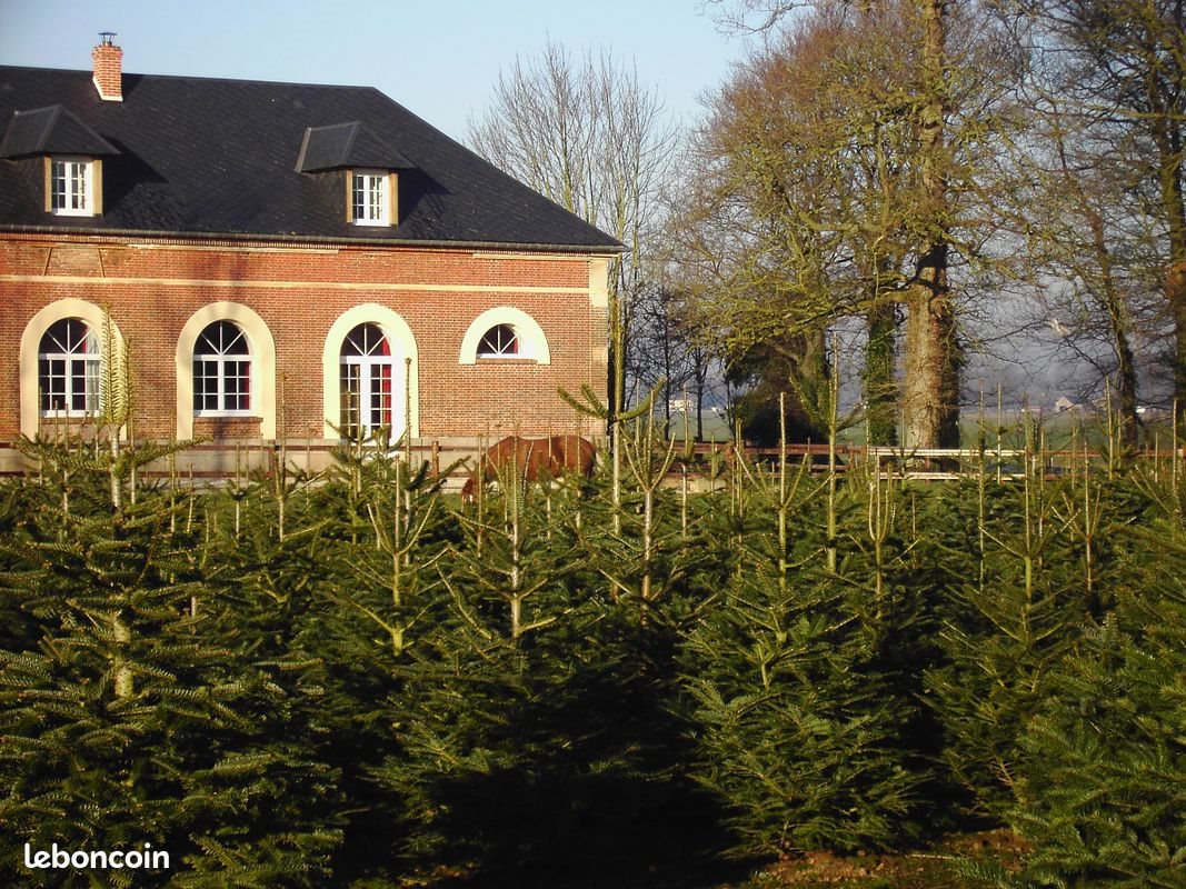 Maison à louer, 206m², Sassetot-le-Mauconduit