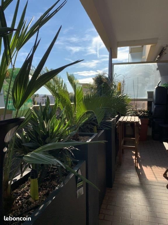 Appartement à louer, 29m², Saint-Laurent-du-Var