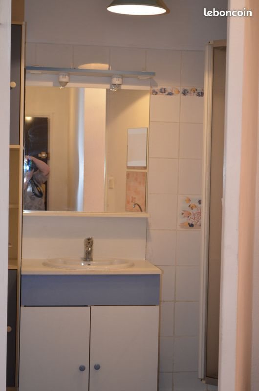 Appartement à louer, 27m², Lyon 8ème
