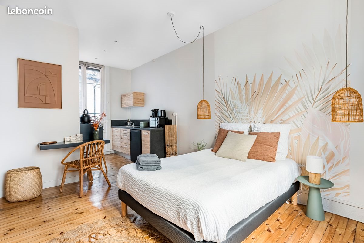 Appartement à louer, 32m², Saint-Etienne