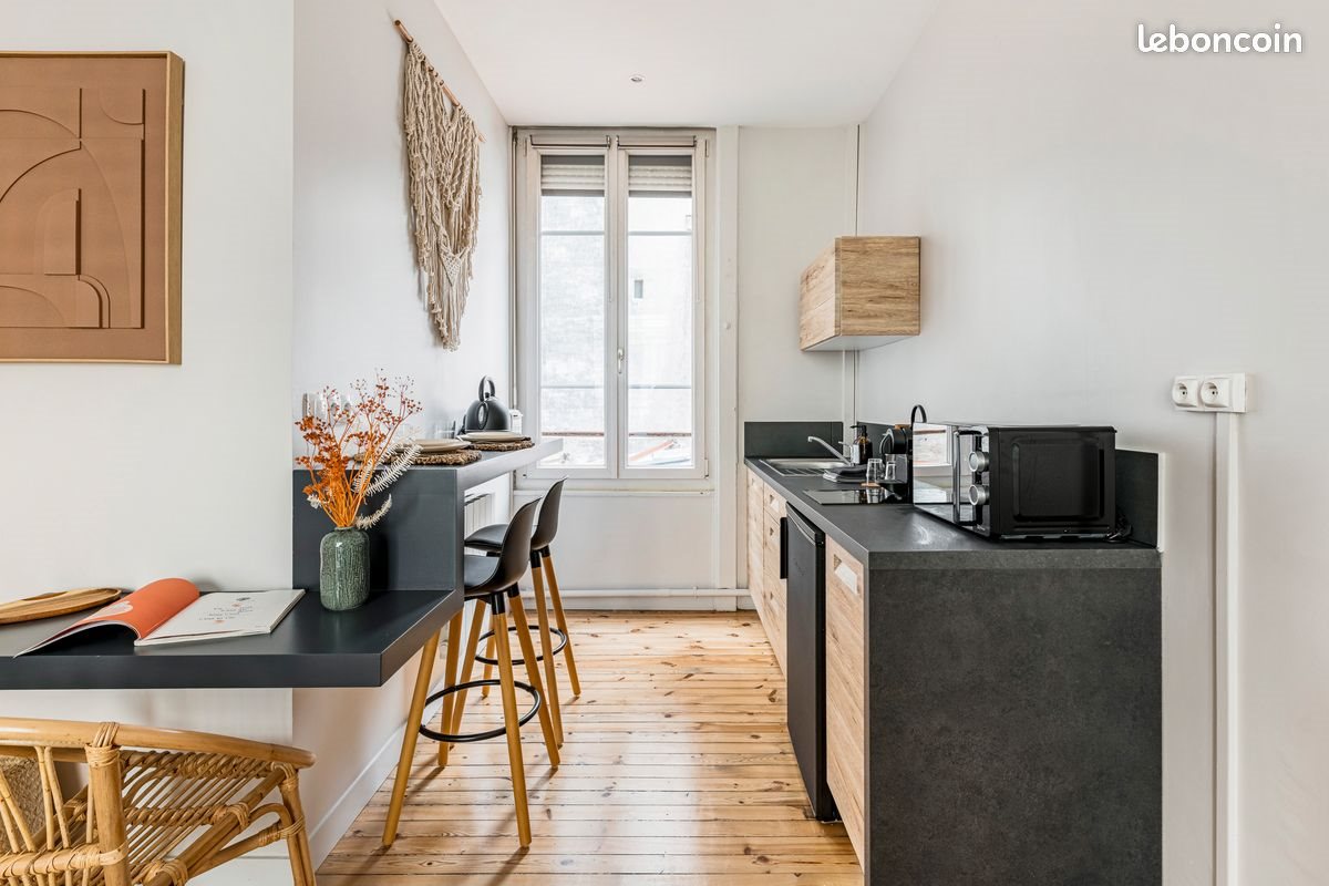 Appartement à louer, 32m², Saint-Etienne