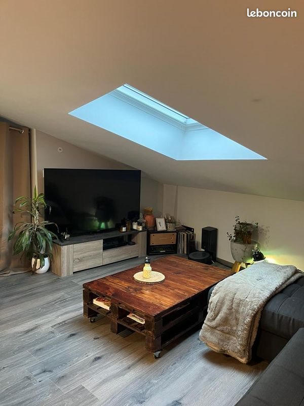 Appartement à louer, 47m², Albi