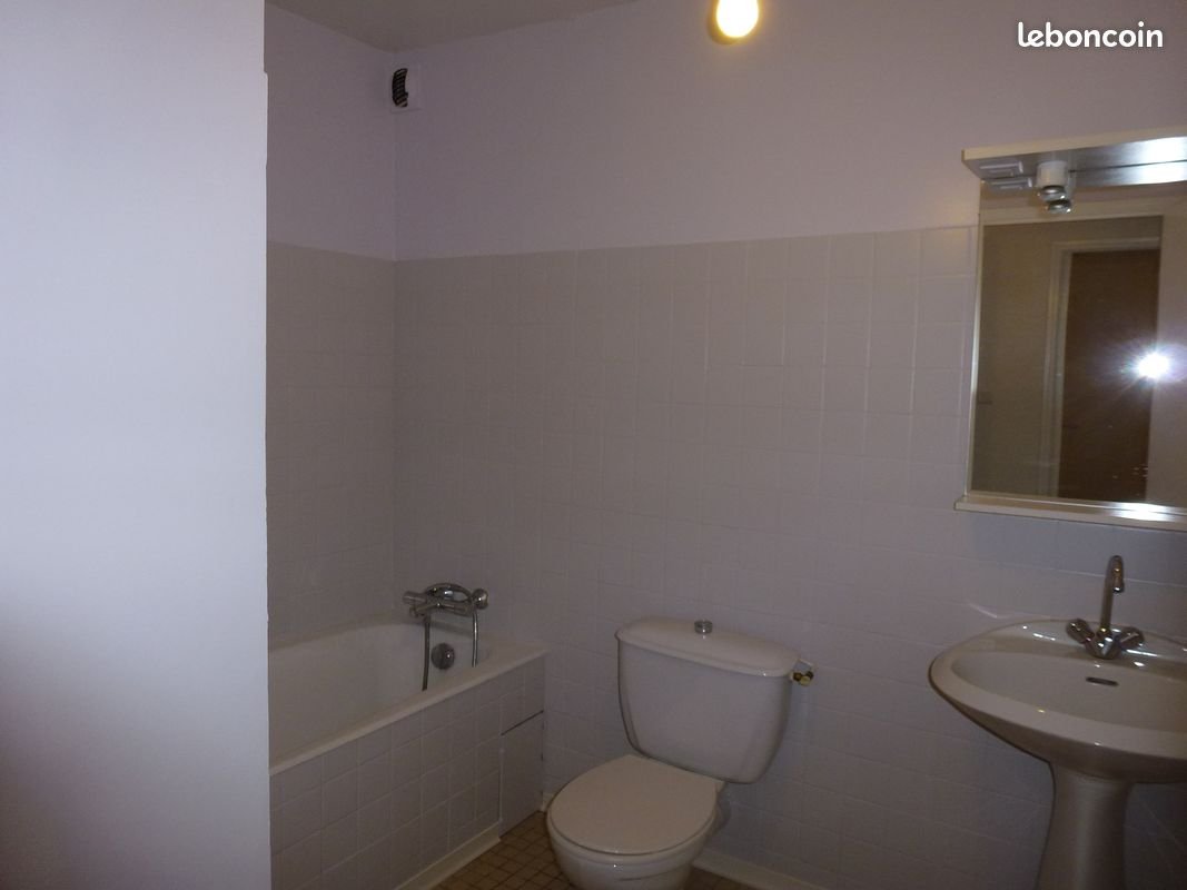 Appartement à louer, 47m², Millau