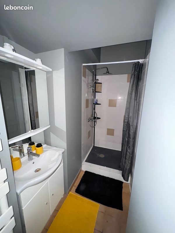 Appartement à louer, 46m², Vienne