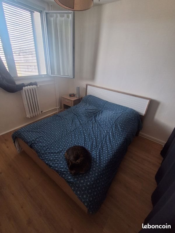 Appartement à louer, 42m², Lyon 8ème