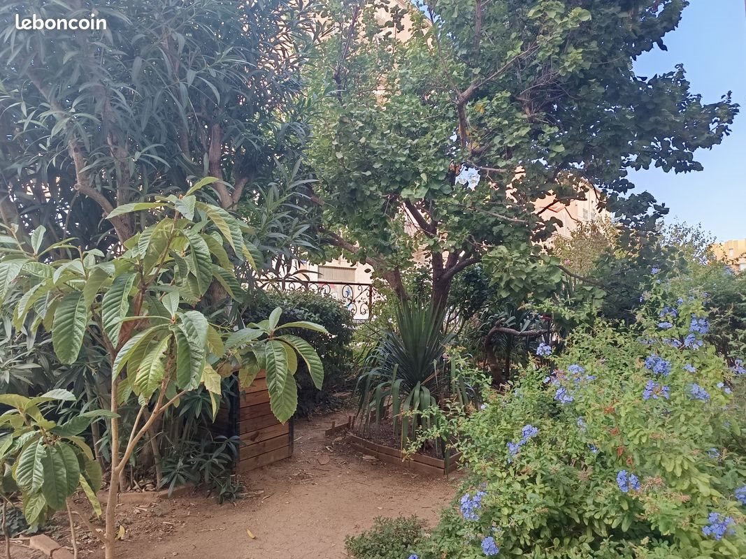 Appartement à vendre, 61m², Sète
