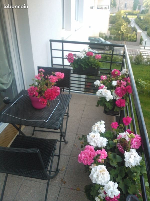 Appartement à louer, 58m², Palaiseau